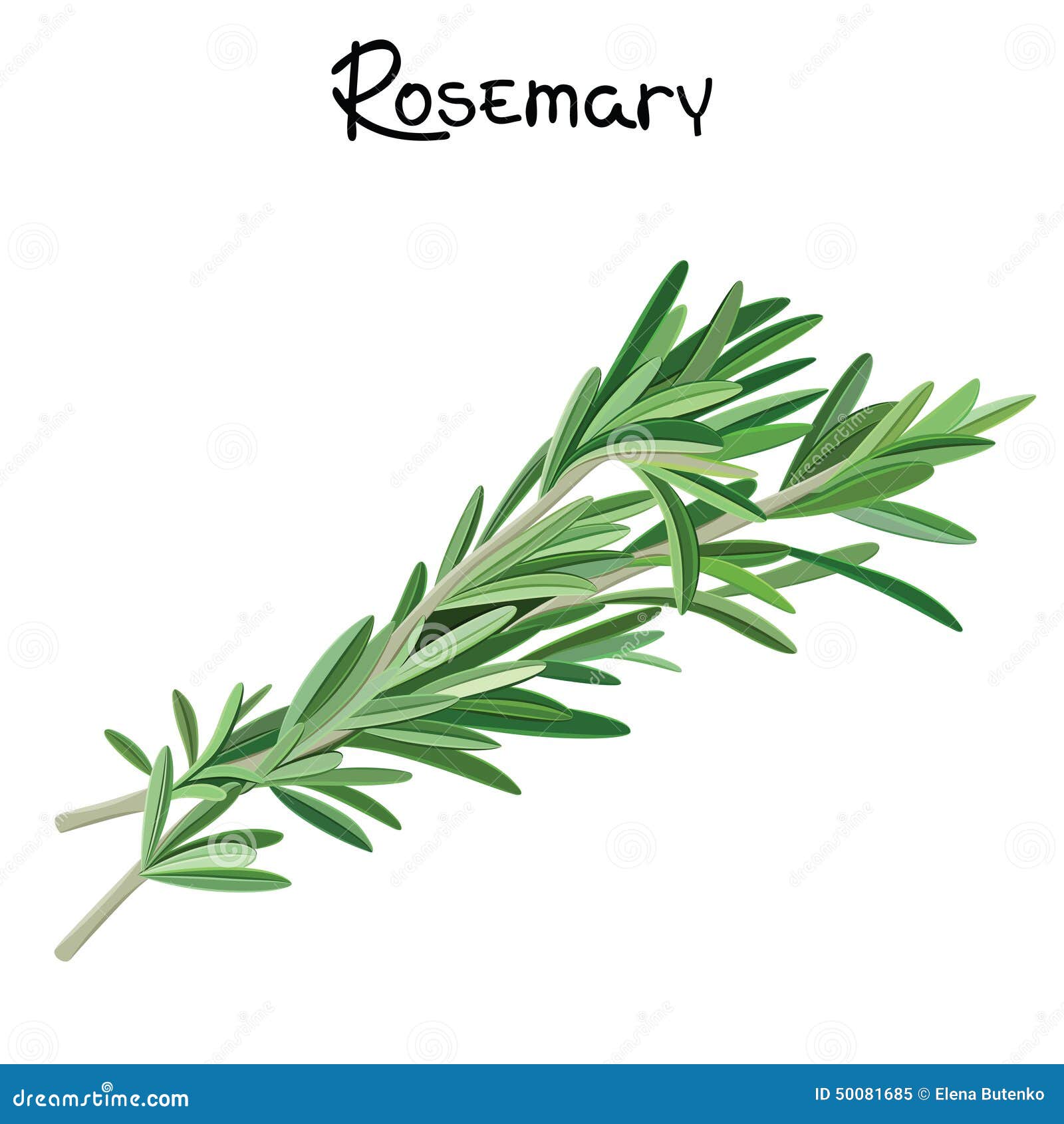 rosemary sprigs