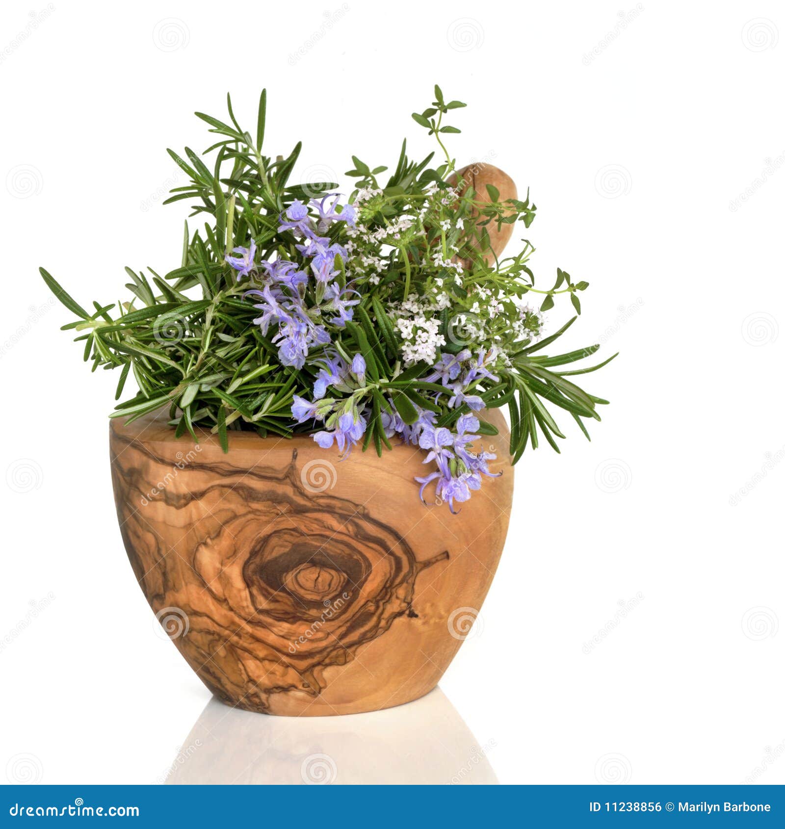 Rosemary and Thyme Herbs stock photo. Image of flowers 11238856