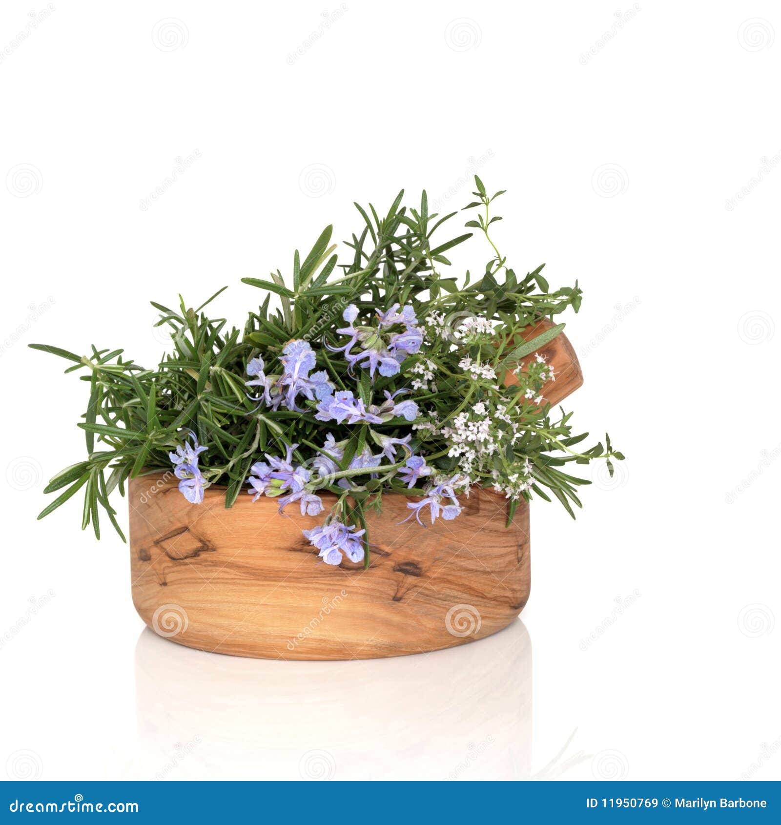 Rosemary and Thyme Herbs stock image. Image of fragrant 11950769