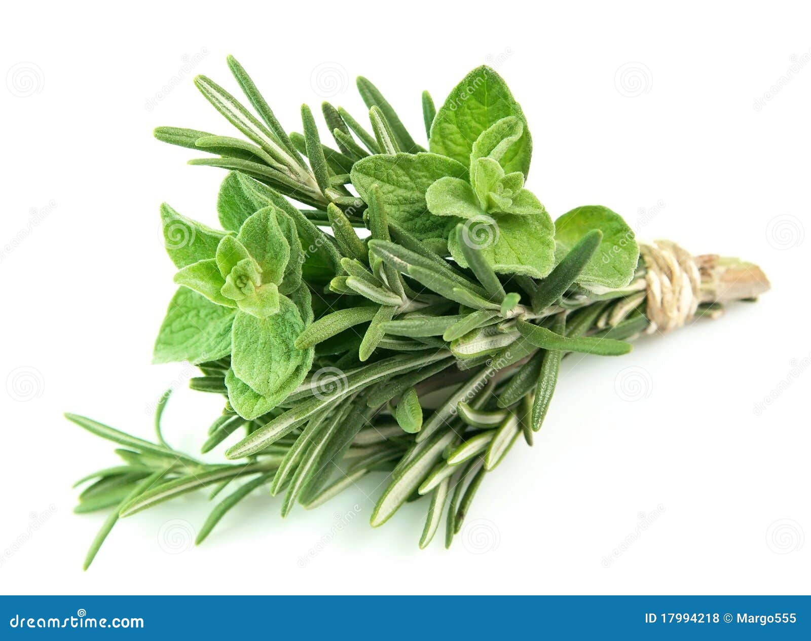 Rosemary und Oregano stockfoto. Bild von oregano, rosmarin 17994218
