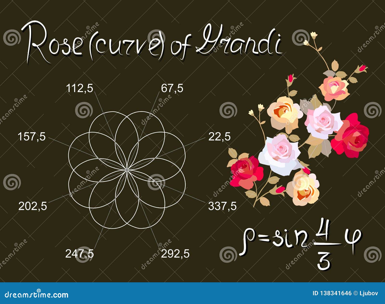 Rosen Av Guido Grandi är Den Härliga Matematiska Kurvan Bildande 