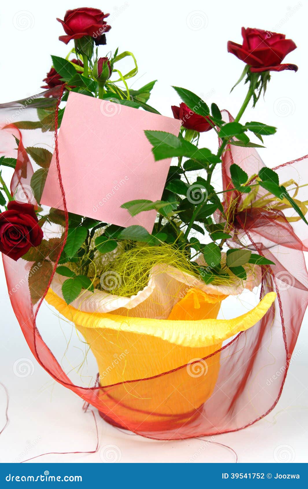 Rosen im Blumentopf stockfoto. Bild von versprechen, stieg 39541752