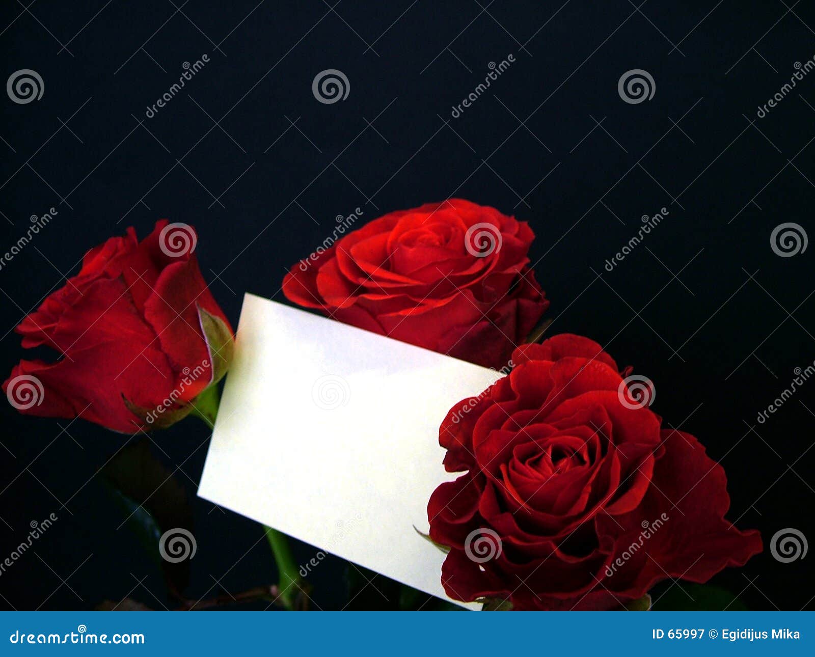 Rosen mit Karte stockbild. Bild von congratulate, geschenk 65997