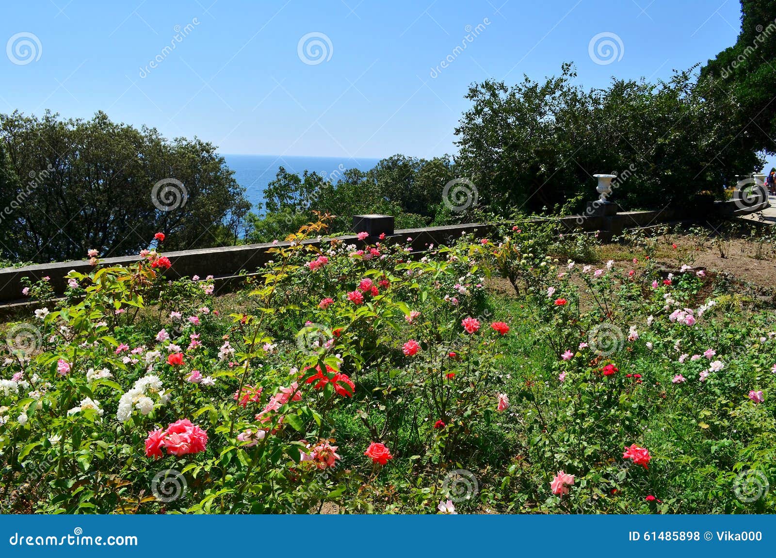 california sea of roses california sea of roses
