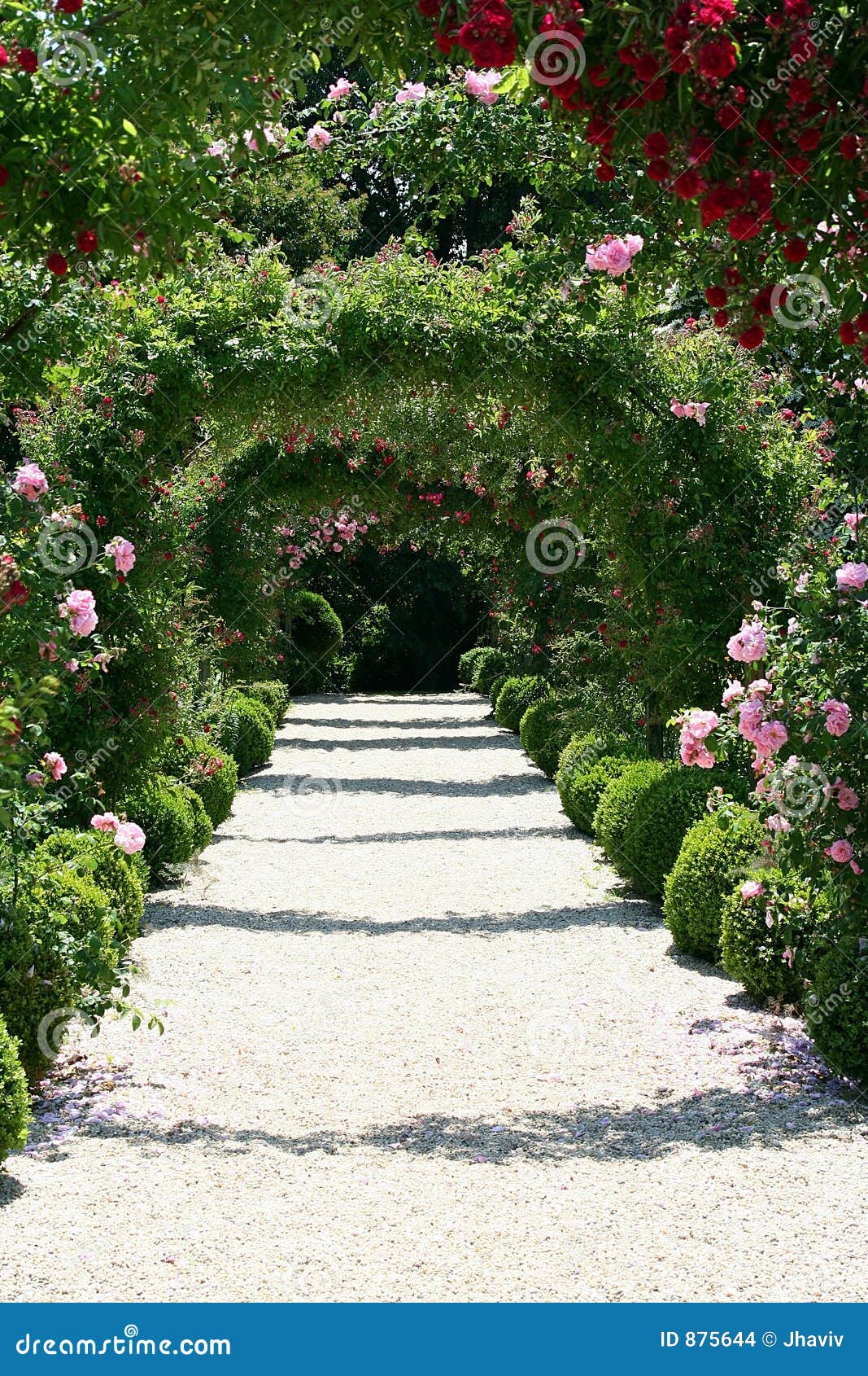 Roses Arch in the Garden stock photo. Image of arch, path 875644