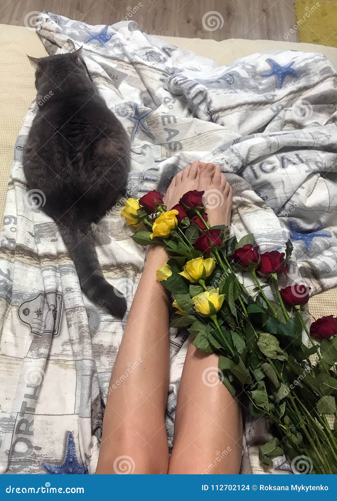 Roses and cat stock photo. Image of pencil, animal, cute 112702124