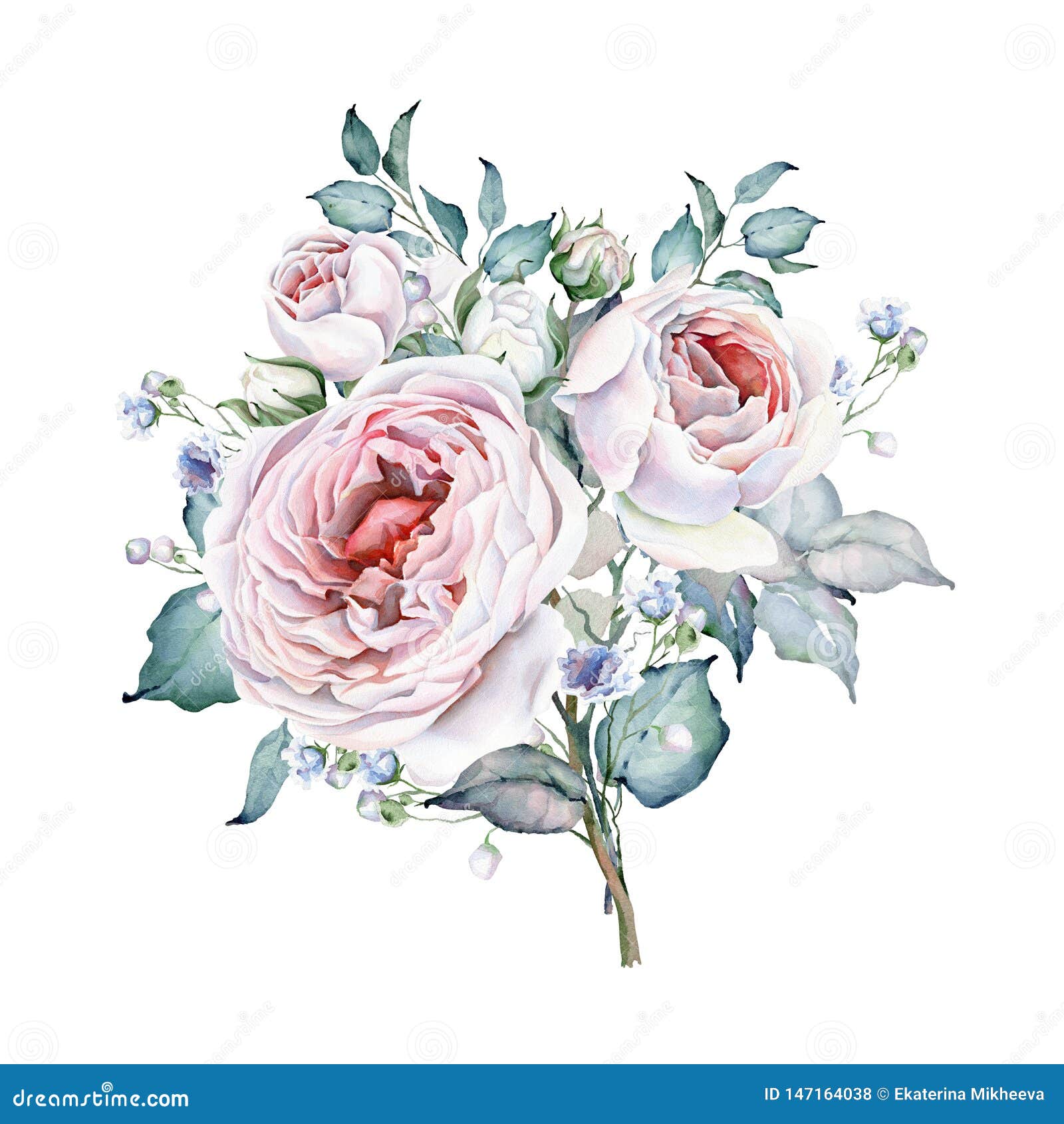 Roses Bouquet. Watercolor Flowers. White and Pink Roses Stock ...