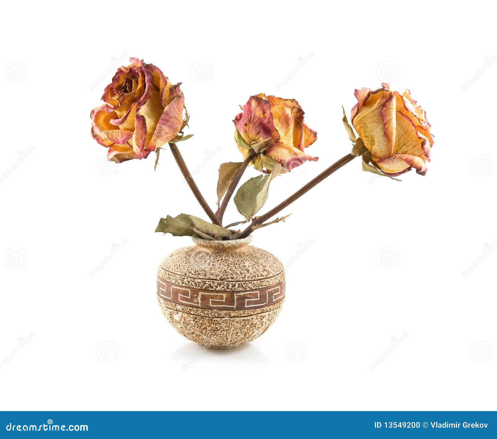 Roses in ceramic vase stock photo. Image of dried, mold 13549200