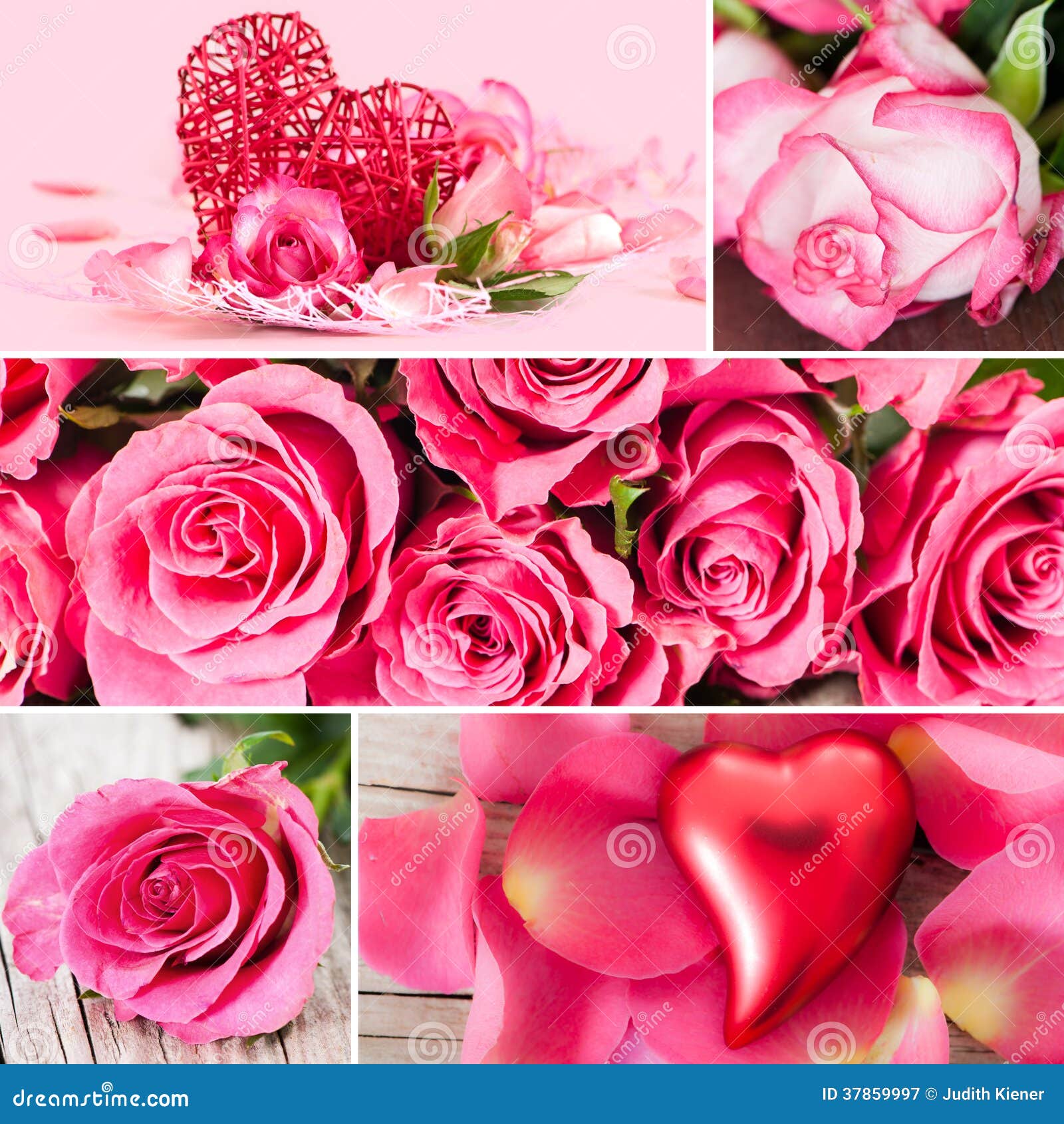 Roses collage stock image. Image of bouquet, marriage 37859997