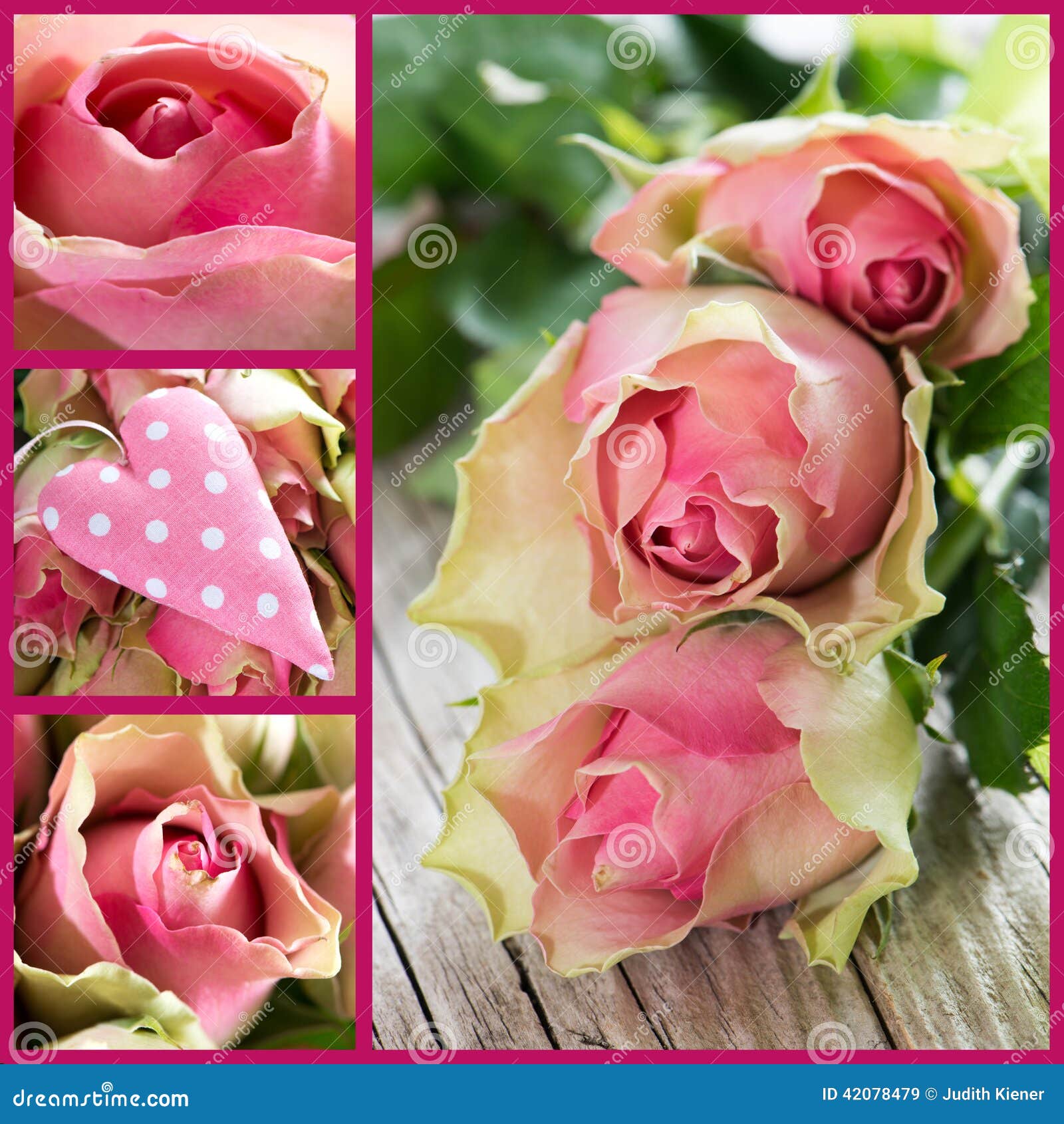 Roses collage stock image. Image of white, roses, heart 42078479