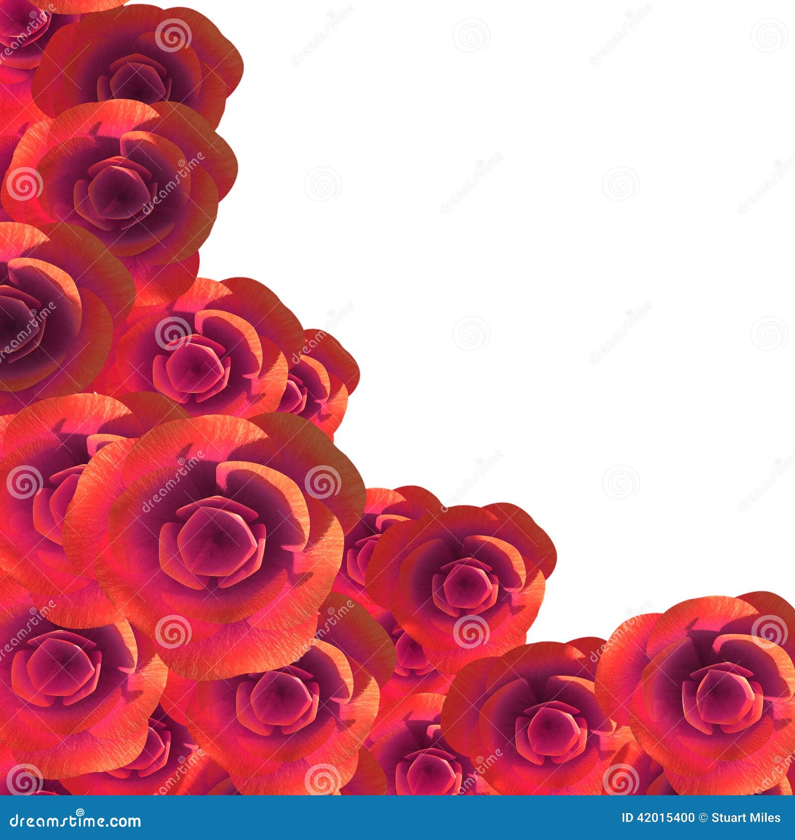 Roses Copyspace Represents Flora Romance and Flower Stock Illustration