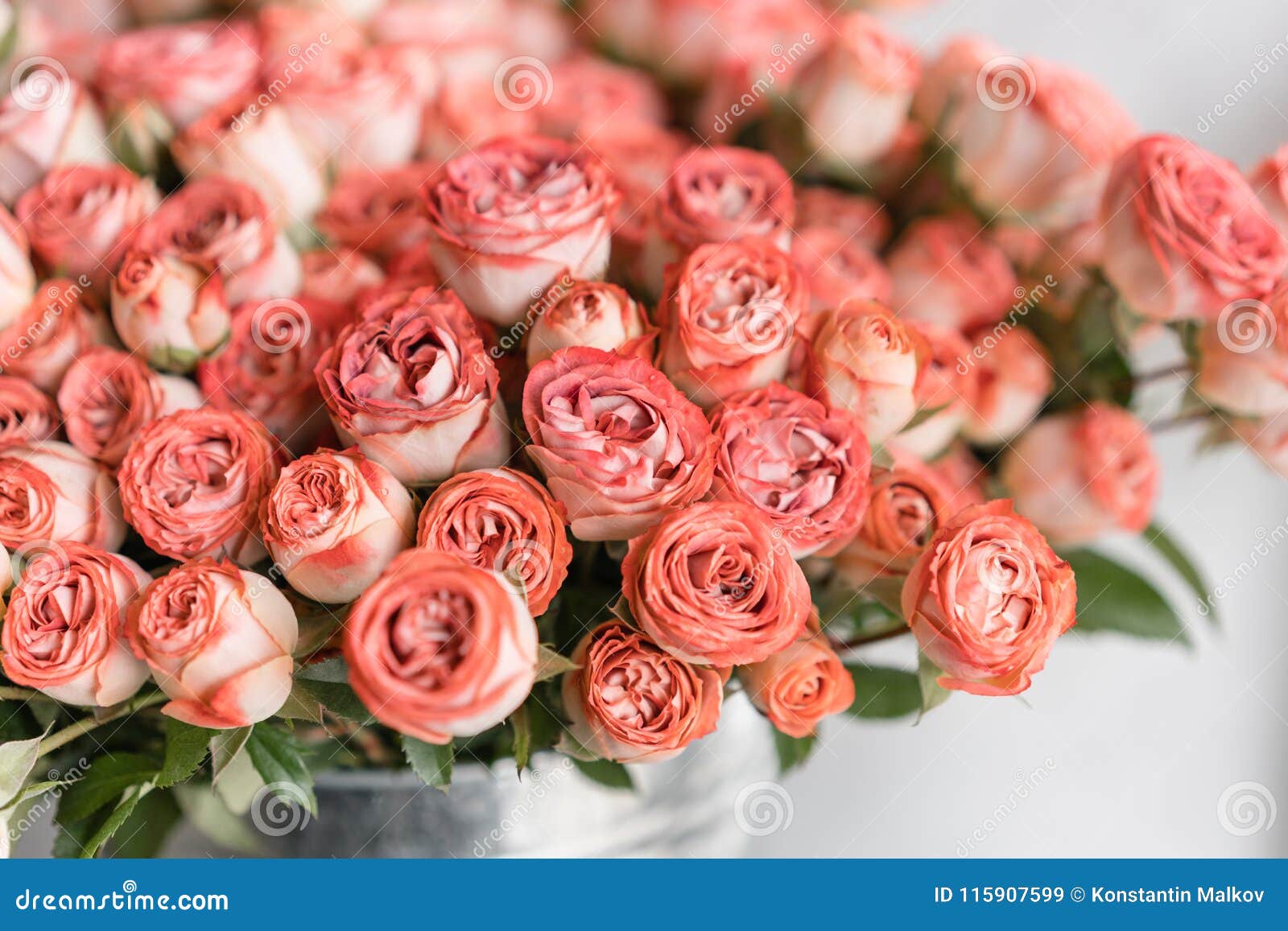Roses De Rose Multicolore Et En Pastel Et De Couleur Pulvérulente E  Contexte Naturel Floral Concept De Fleuriste Image stock - Image du  hollande, matin: 115907599