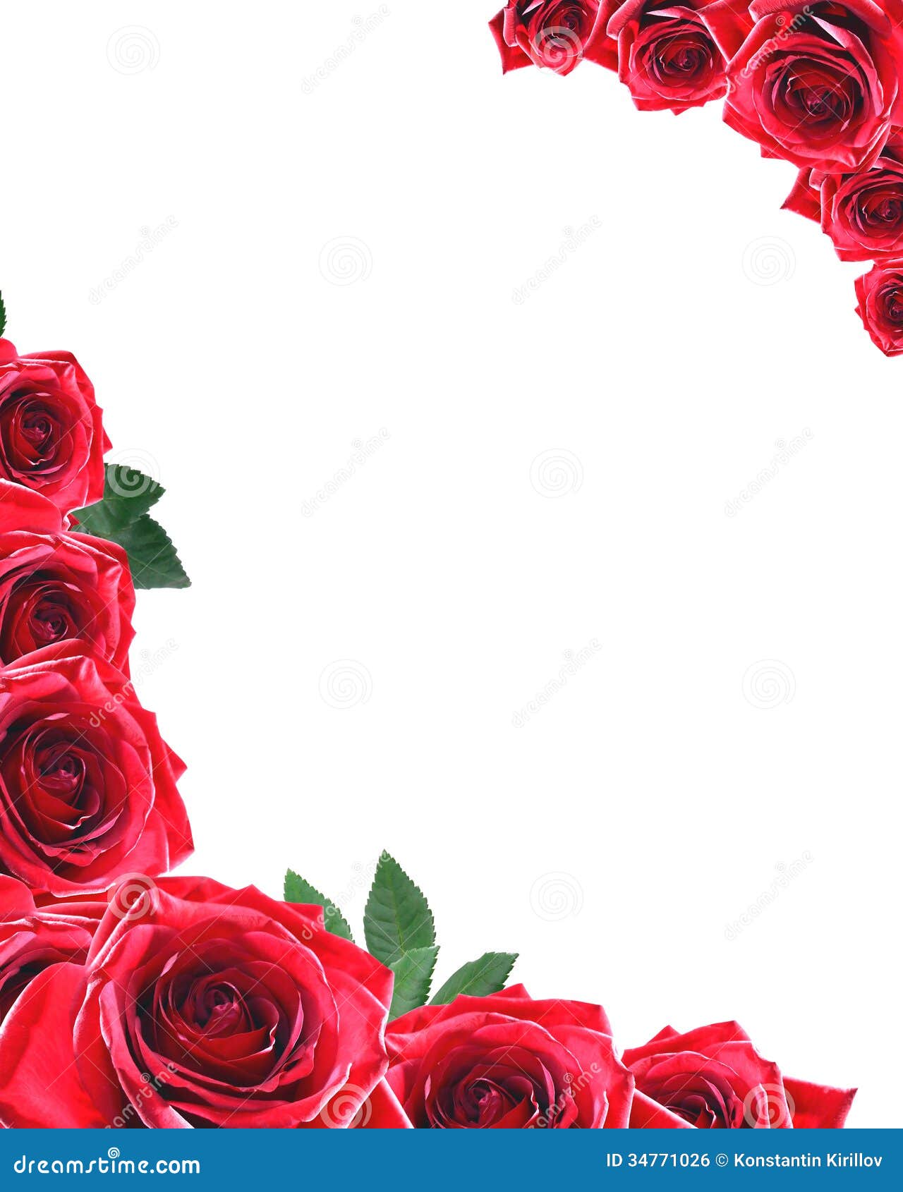 Roses Frame Royalty Free Stock Image Image 34771026
