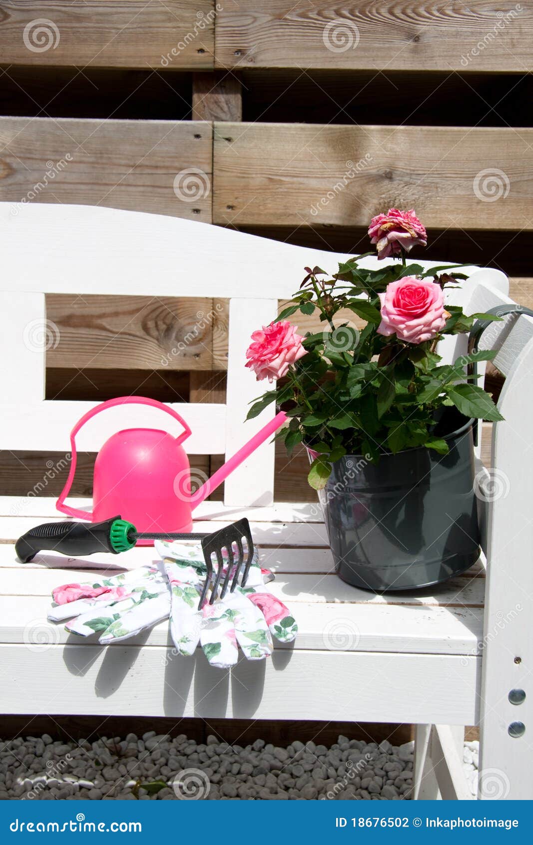 Roses and garden tools stock photo. Image of dotted, equipment 18676502