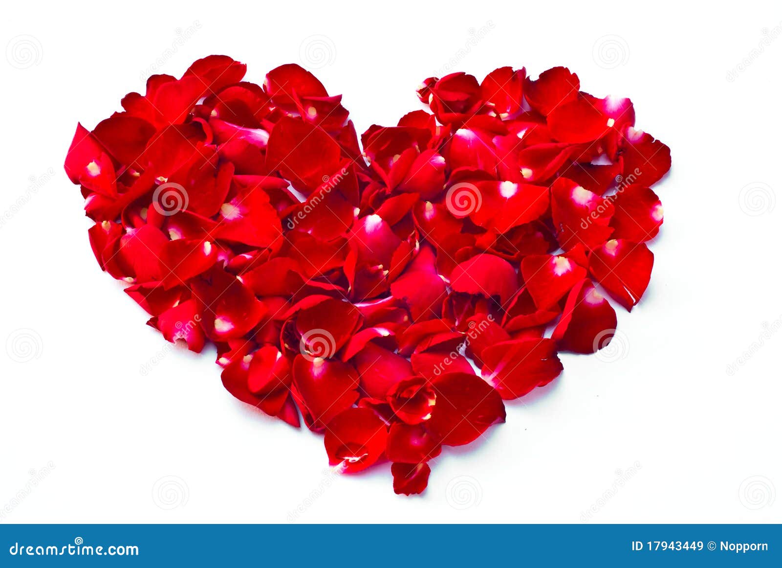 Roses and hearts. stock image. Image of gift, floral - 17943449