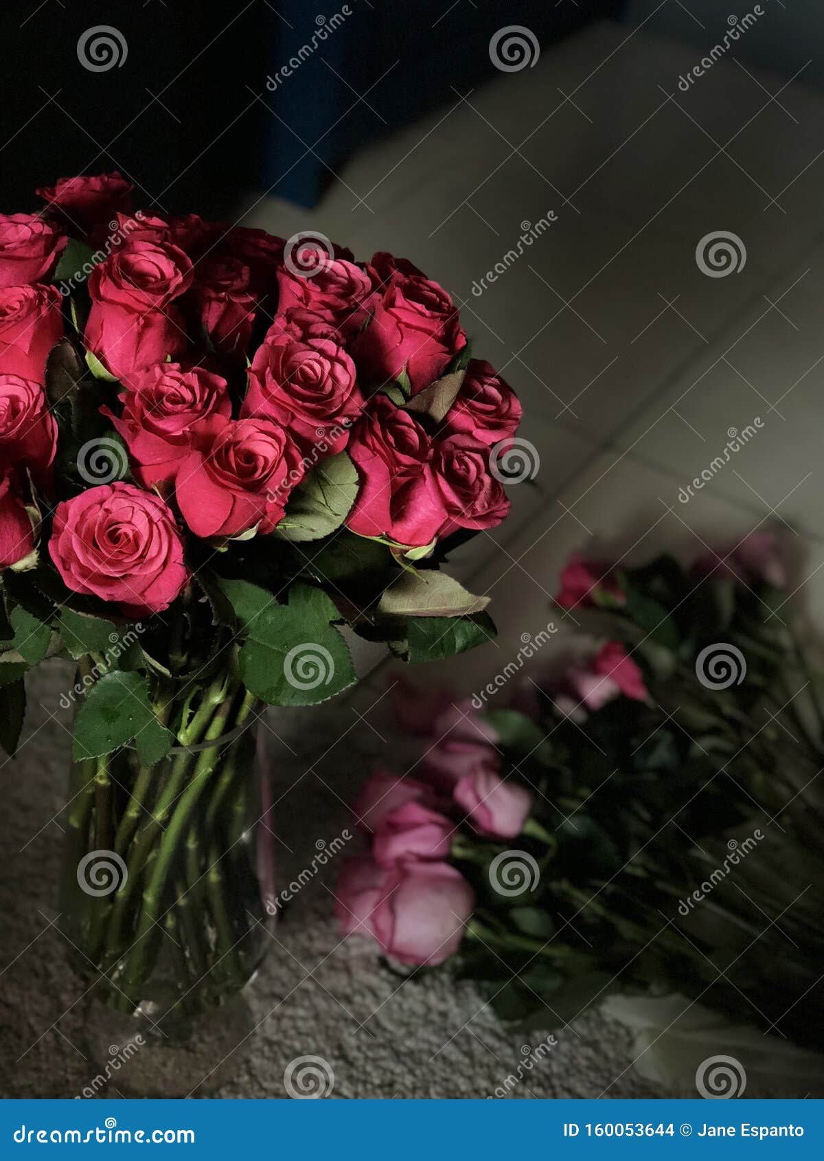 Roses just for you stock photo. Image of roses, beautiful 160053644