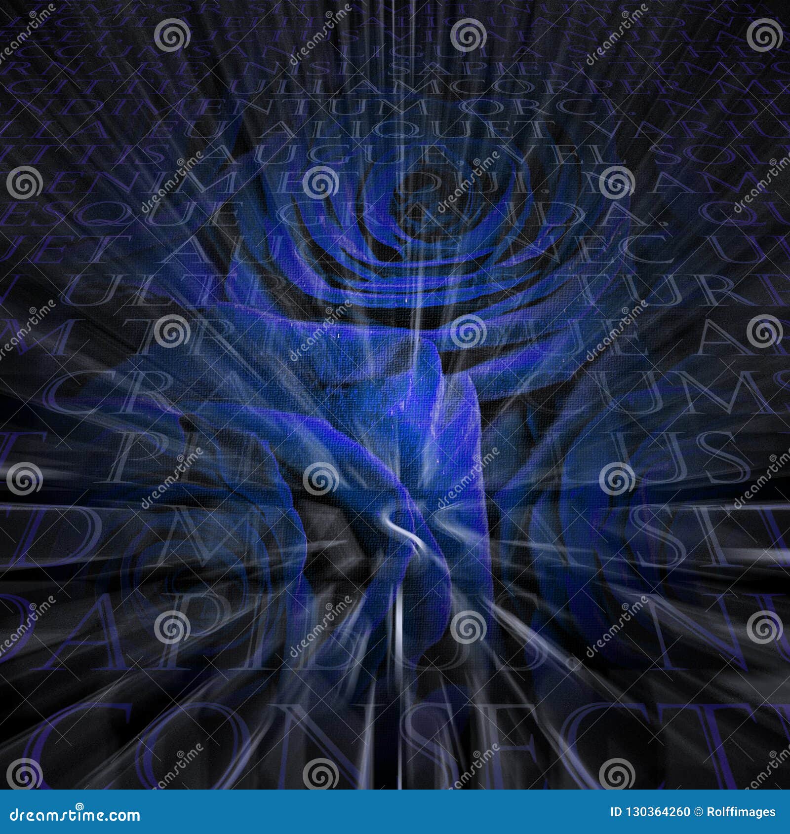 Roses with Latin text stock illustration. Illustration of background