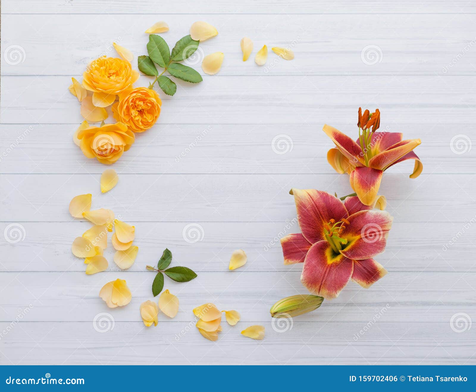 Roses and Lilies Lie Around, a Ring of Yellow Flowers Stock Photo ...