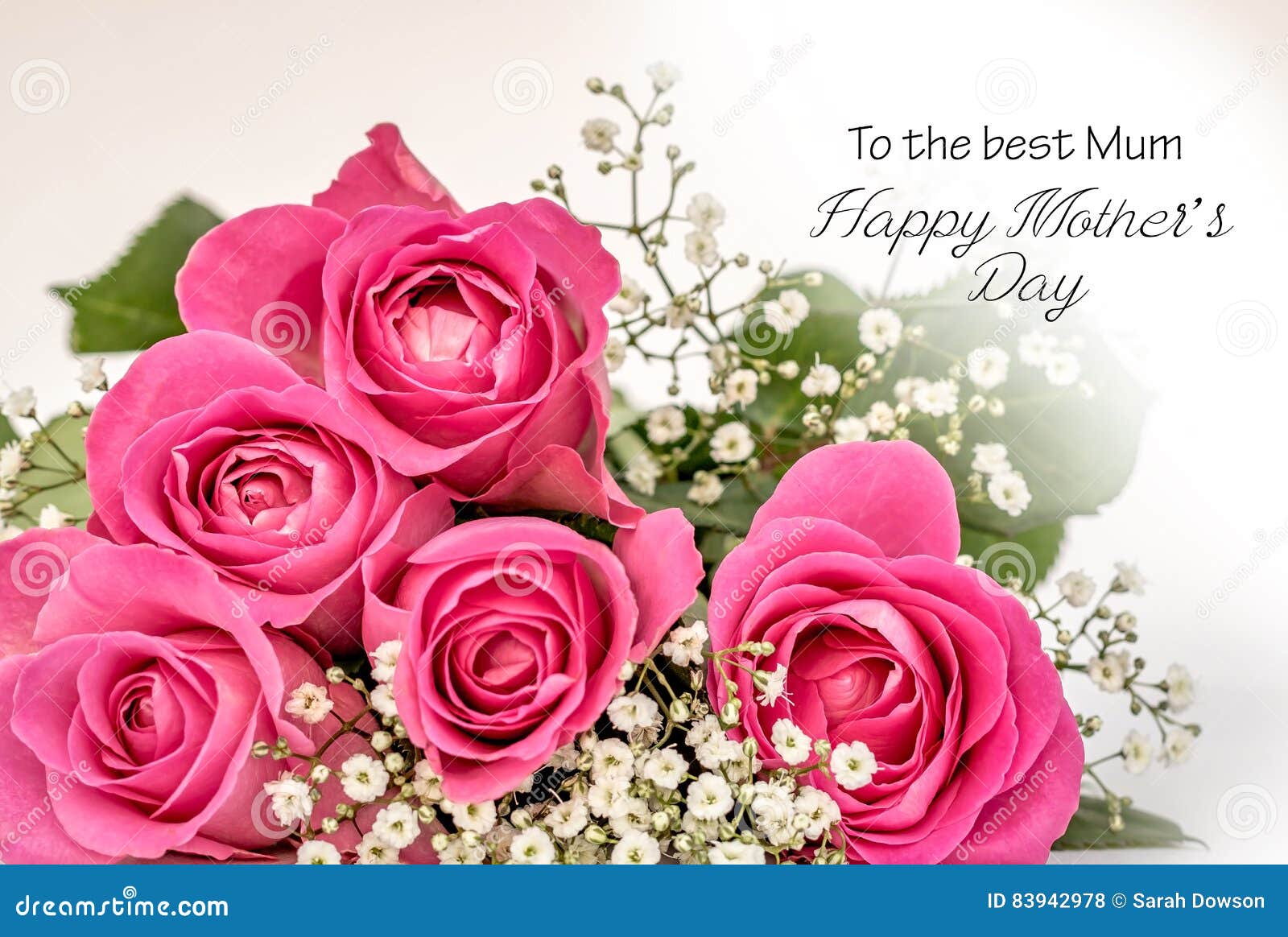 Roses Mothers Day Card stock photo. Image of pink, hand - 83942978