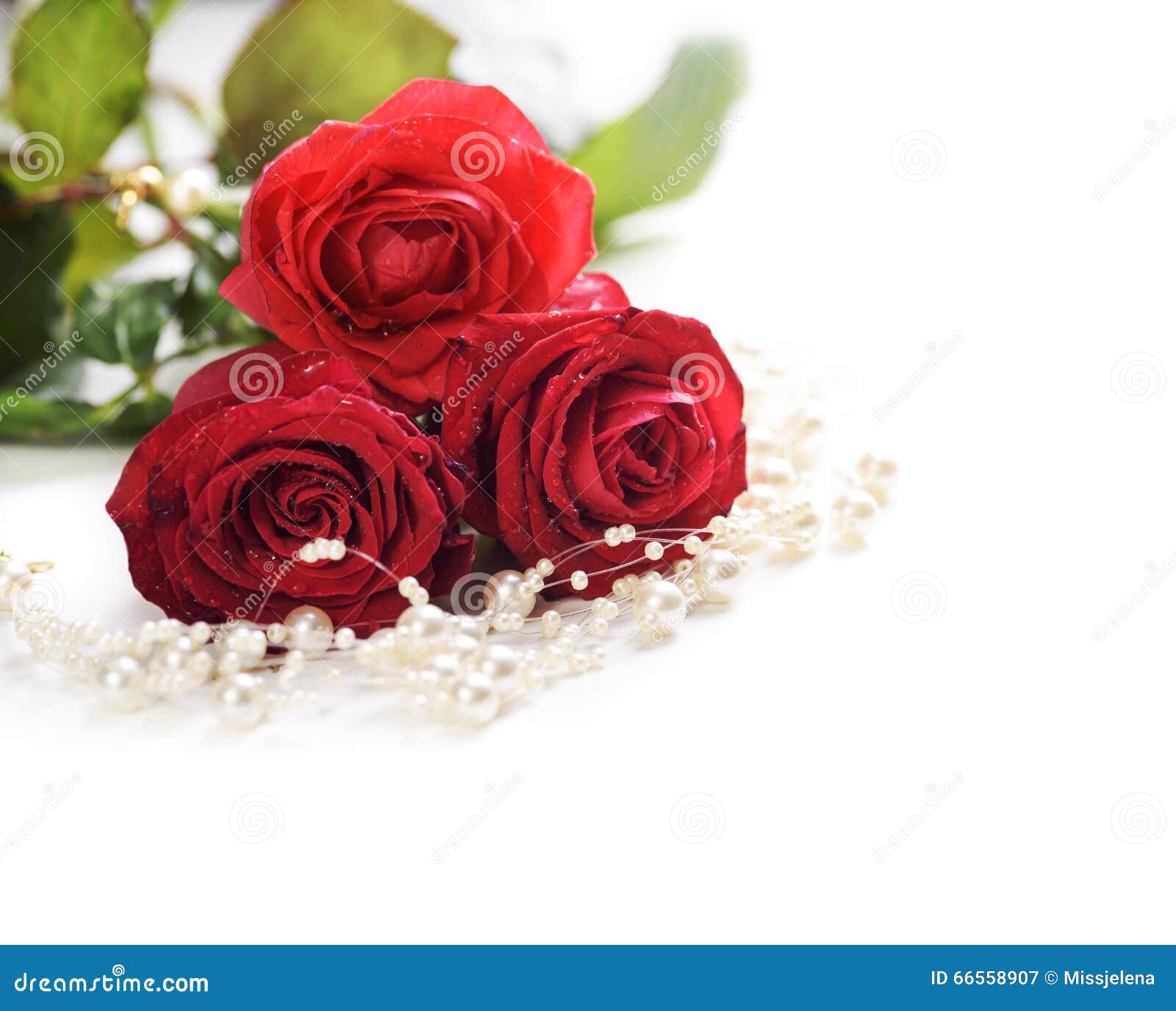 Roses and pearls stock image. Image of beautiful, floral 66558907