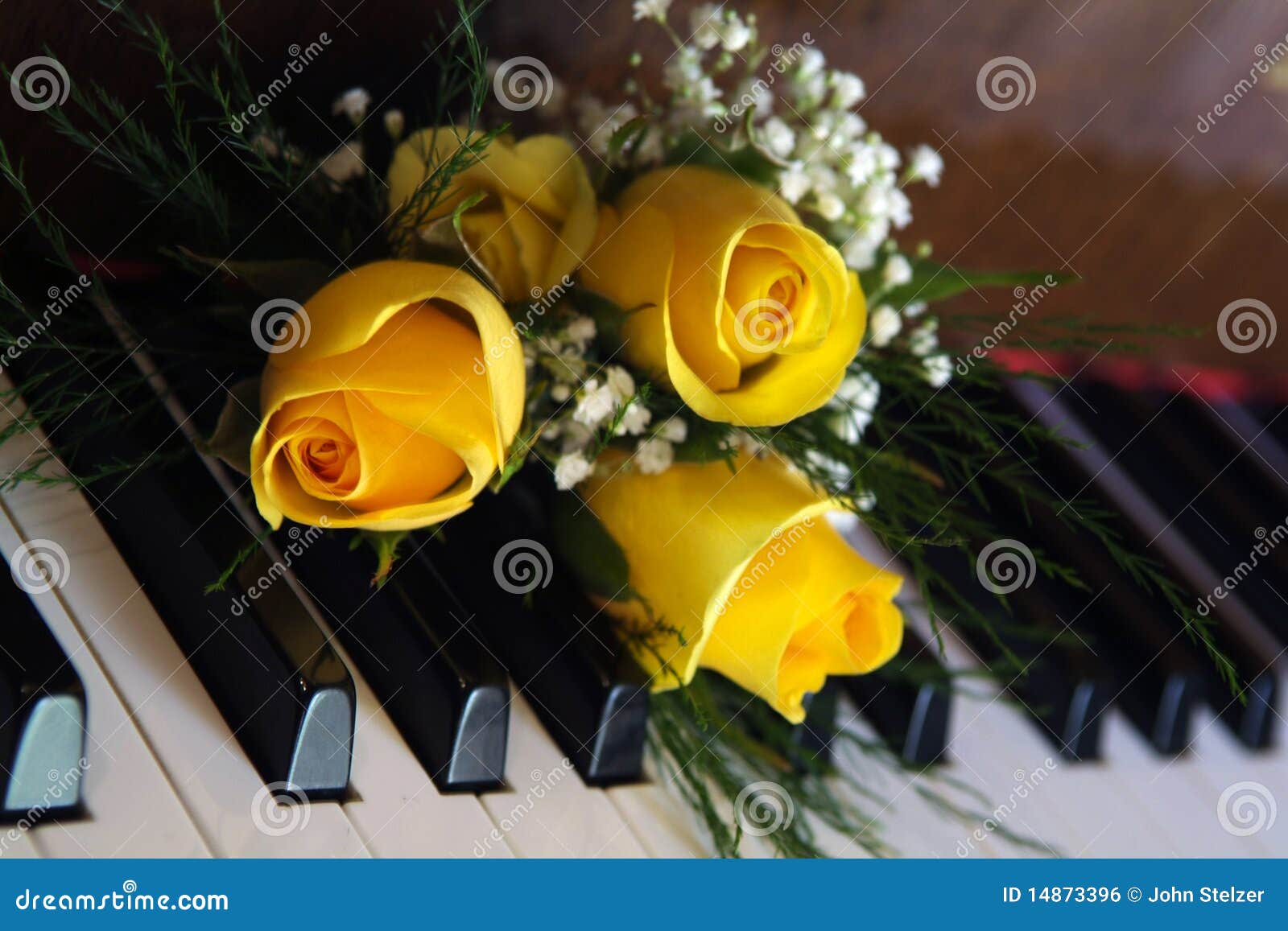 Roses on Piano stock photo. Image of piano, roses, flower 14873396