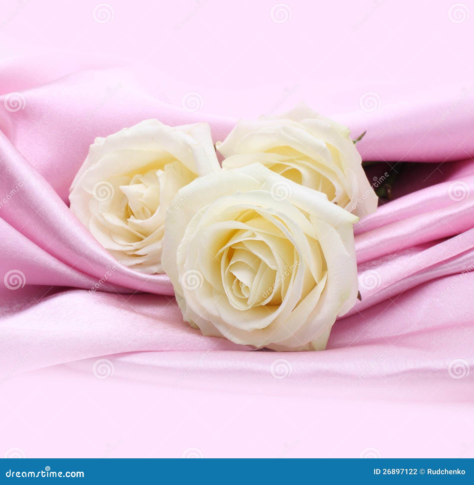 Roses on Pink Silk Background Stock Photo Image of silk, shine 26897122
