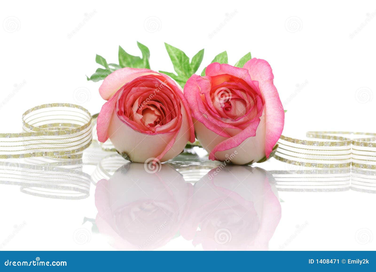 Roses and Ribbon stock image. Image of celebrate, inverted 1408471