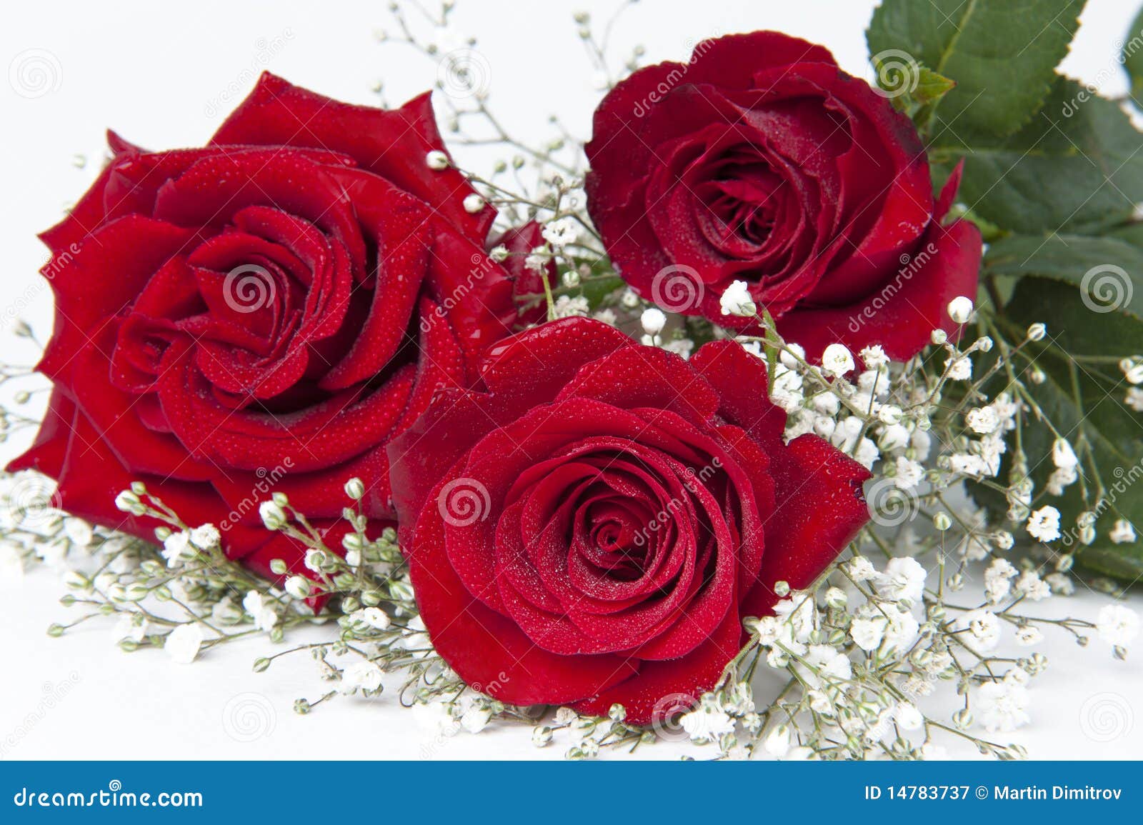 Roses and Romance stock image. Image of rose, droplets 14783737