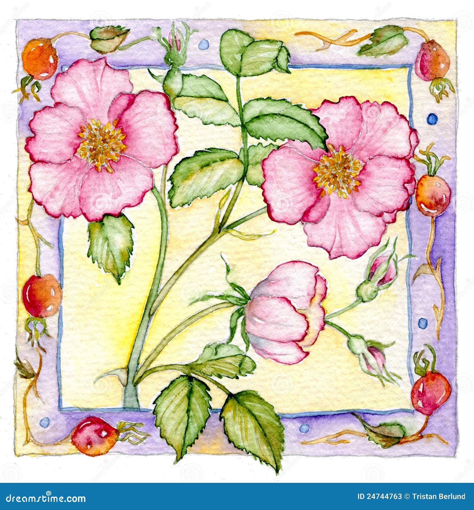 Roses and Rosehips stock illustration. Illustration of card - 24744763