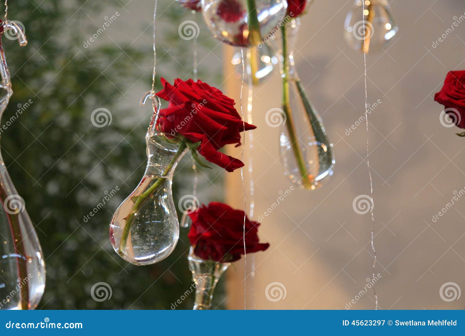 Roses Rouges Accrochantes Dans Des Vases En Cristal Image stock - Image du  rouge, vases: 45623297