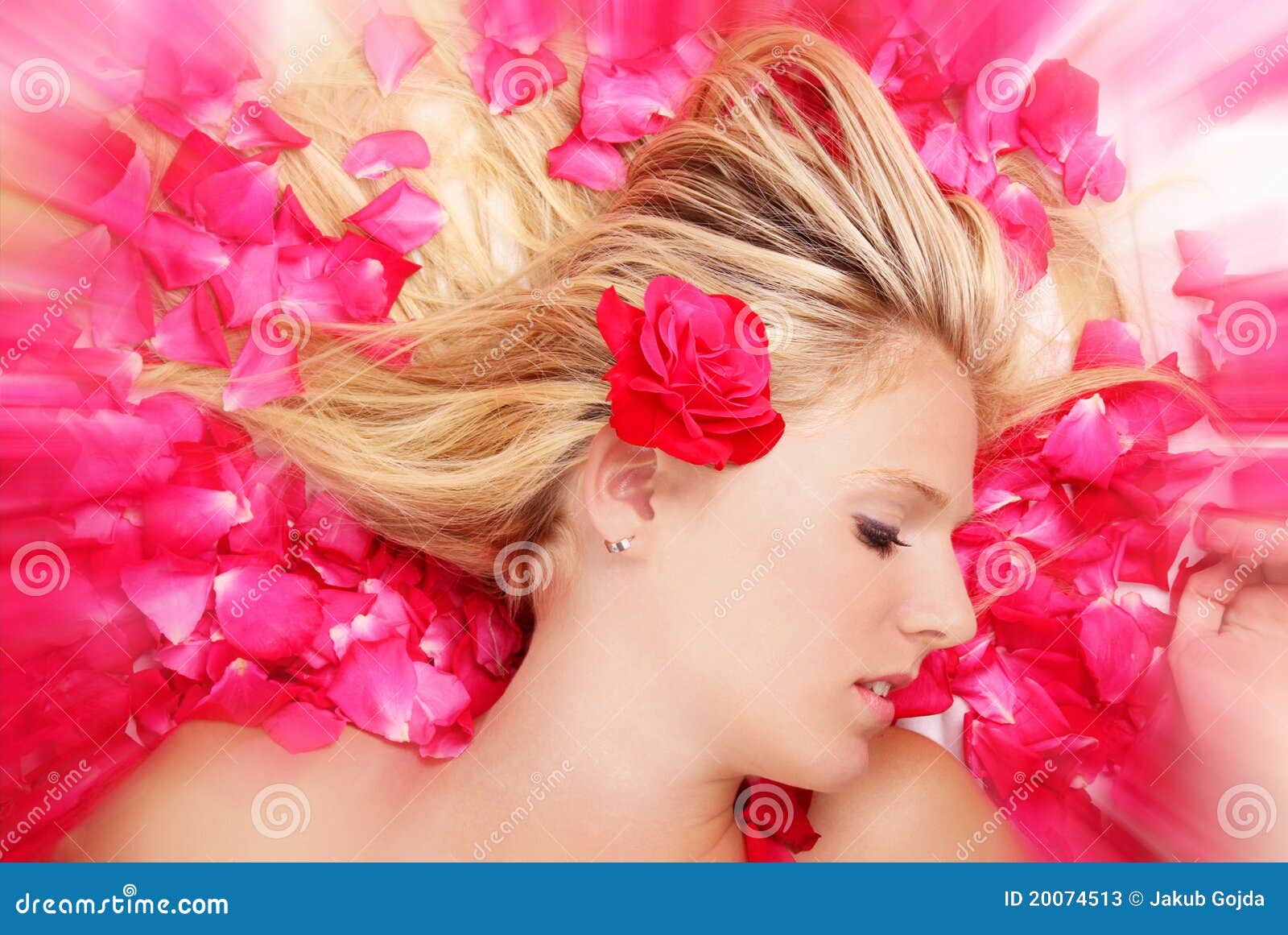 Roses sleeping stock image. Image of flowers, romance 20074513