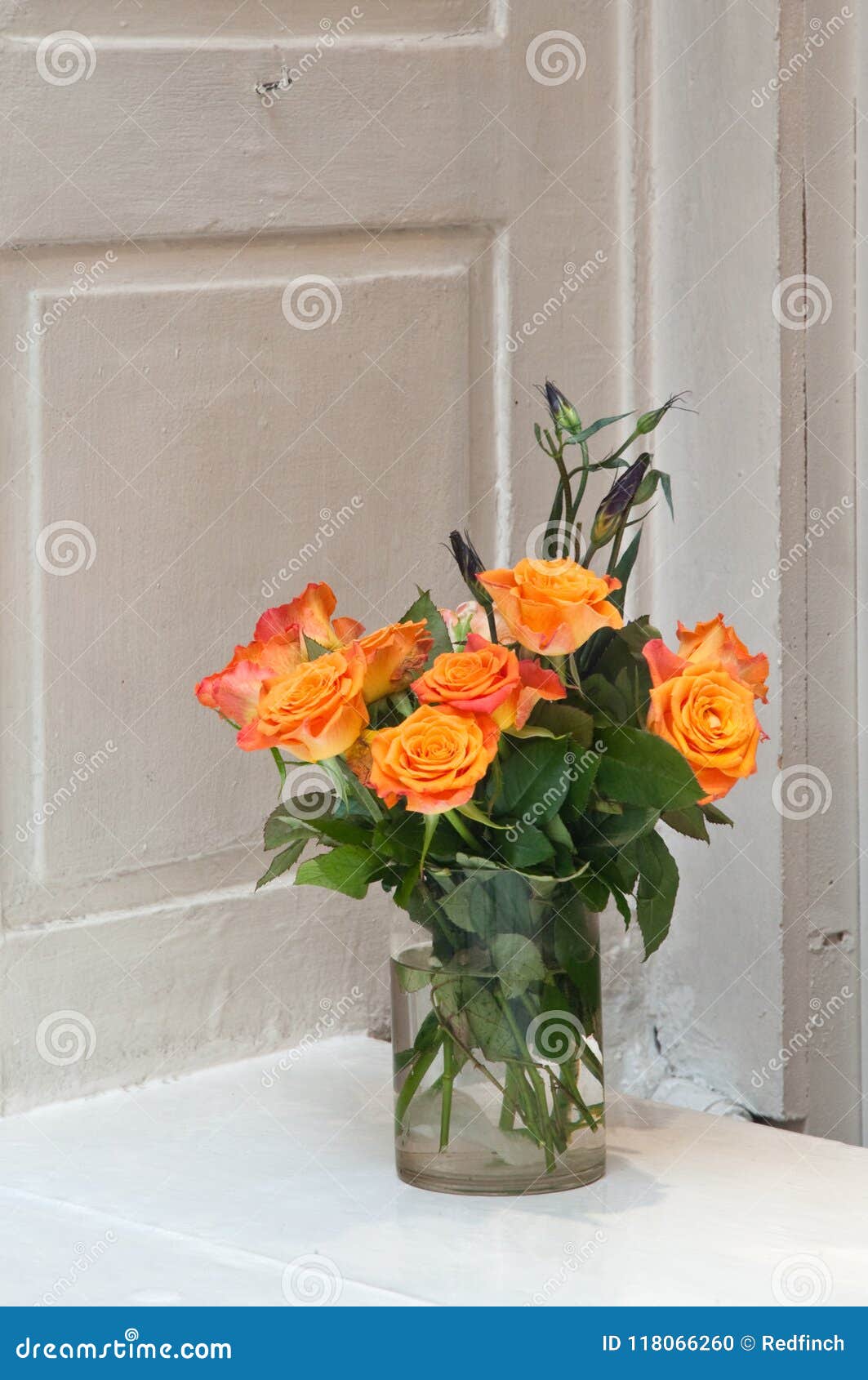 Roses in a Store Window in Stockholm, Sweden Stock Photo - Image of ...