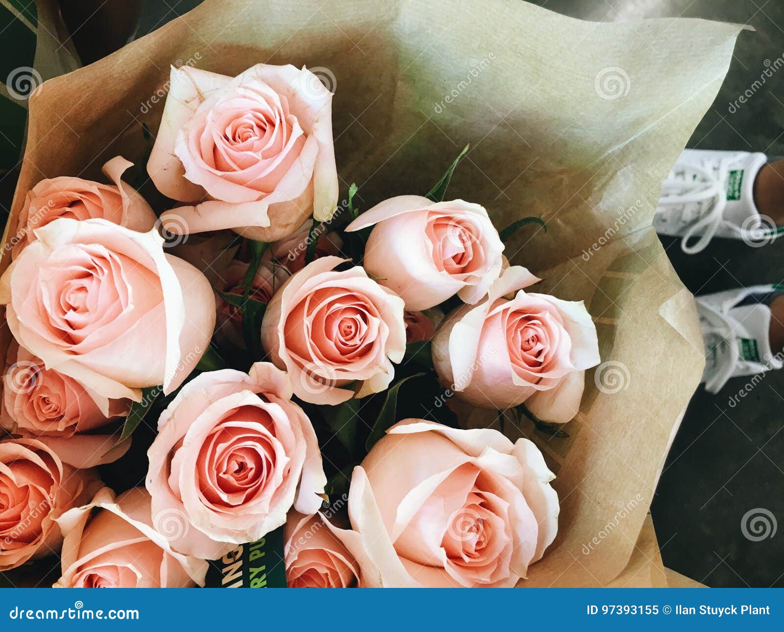 Roses at supermarket stock image. Image of petal, rose 97393155