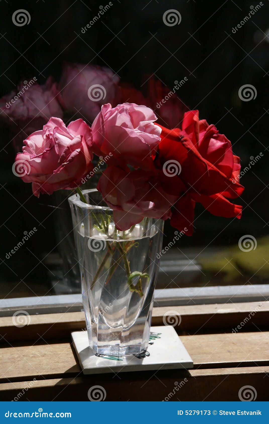 Roses in a vase stock image. Image of vase, rose, gardening 5279173