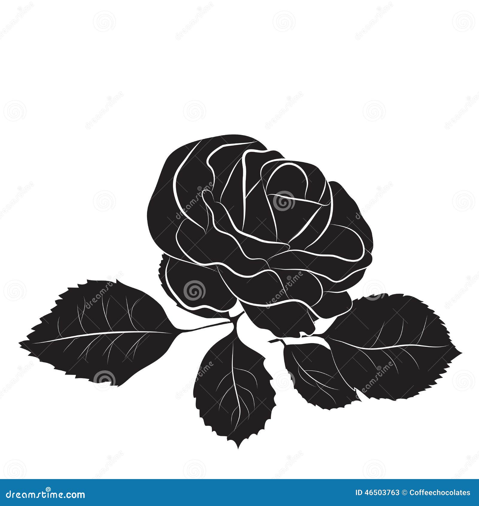 Roses vector, isolated stock vector. Illustration of leaf - 46503763