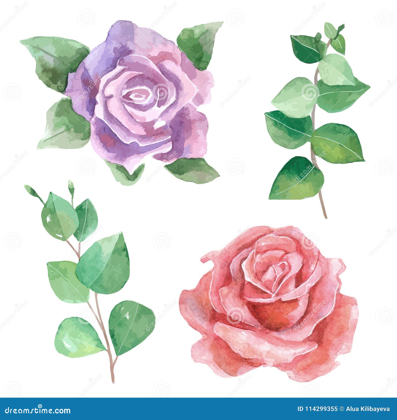 Roses watercolour vectors stock vector. Illustration of blossom - 114299355
