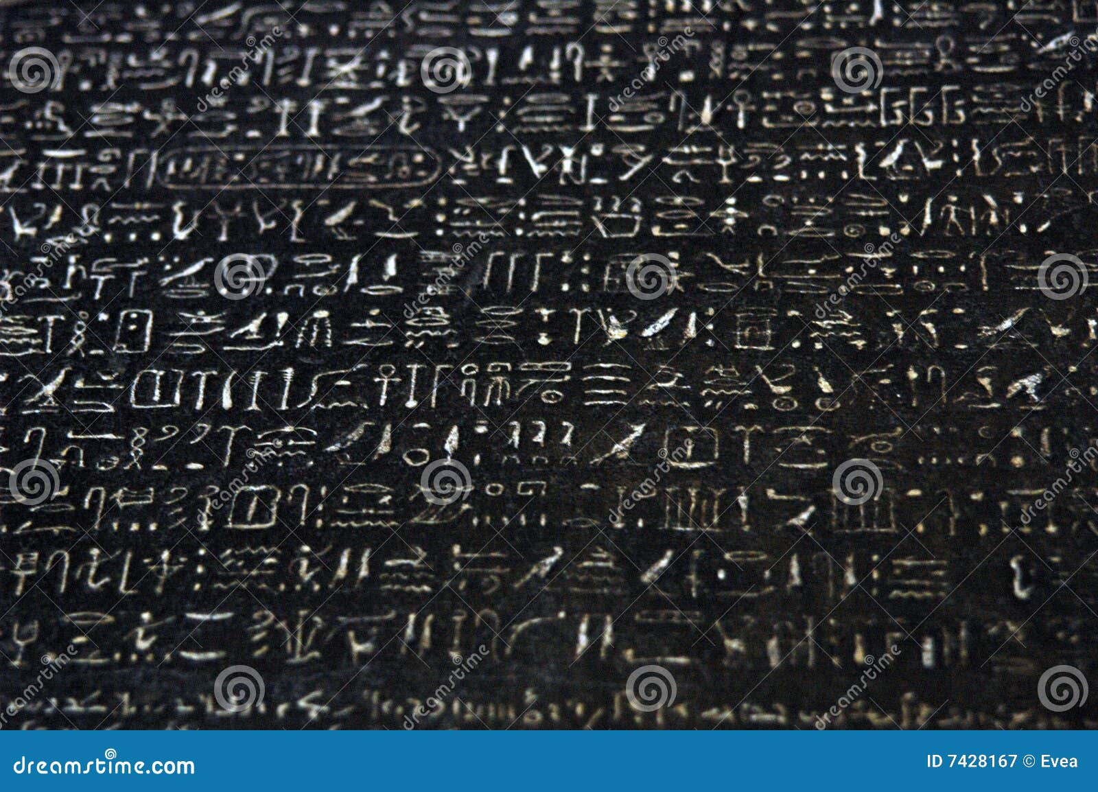 rosetta stone full version free rosetta stone full version free