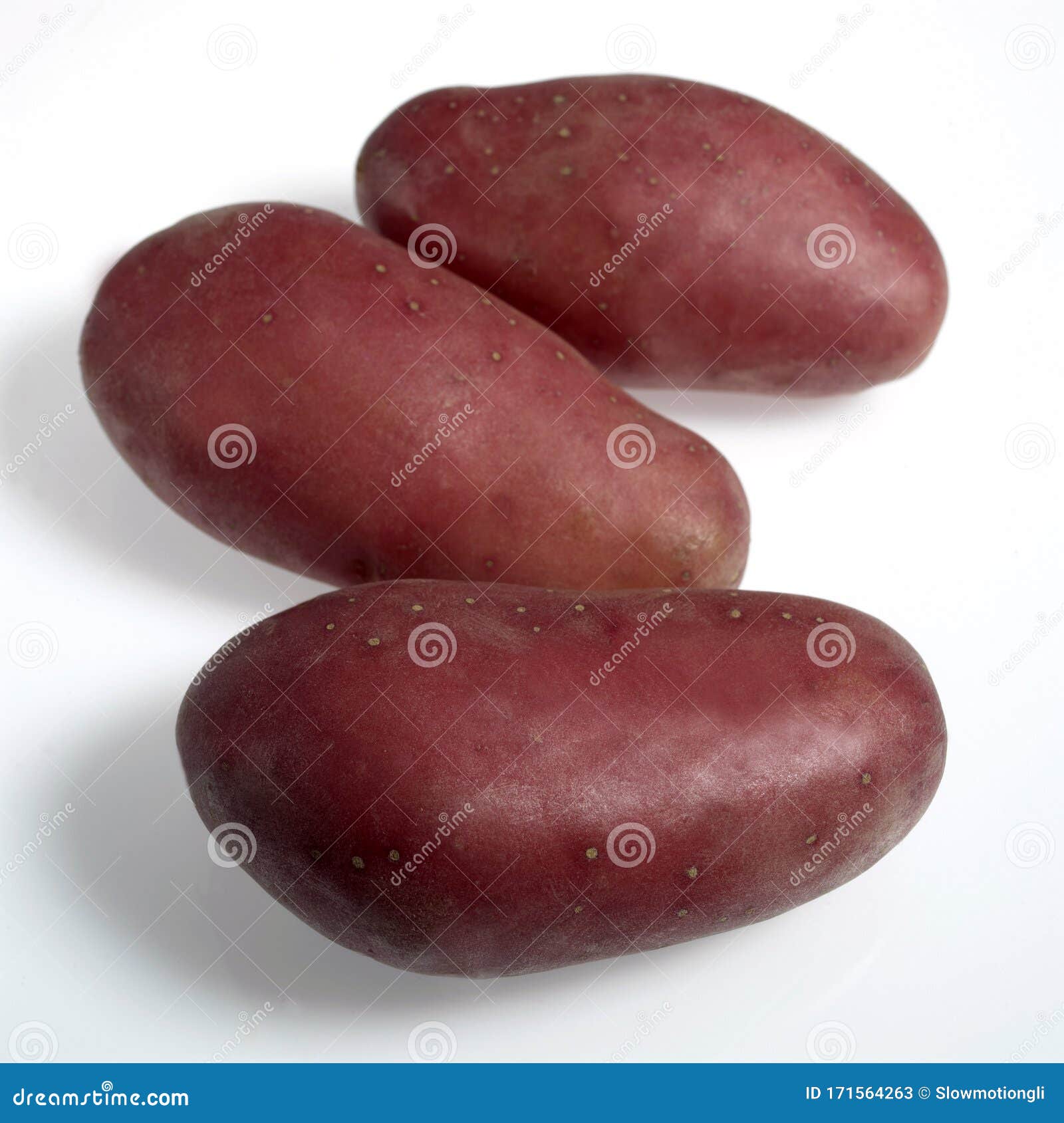 Whole Roseval potatoes stock photo. Image of uncooked - 15735456