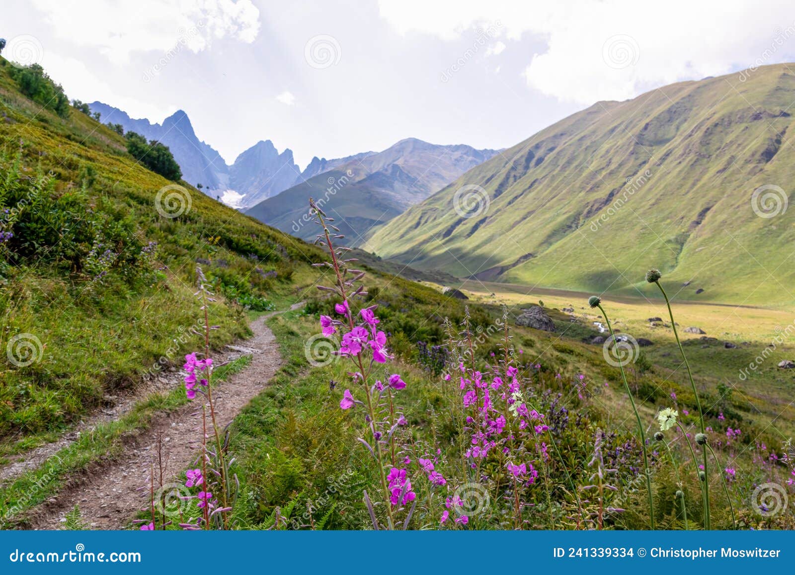 roshka - a pathway with view on the sharp chaukhi massif in the greater caucasus mountain range in georgia.
