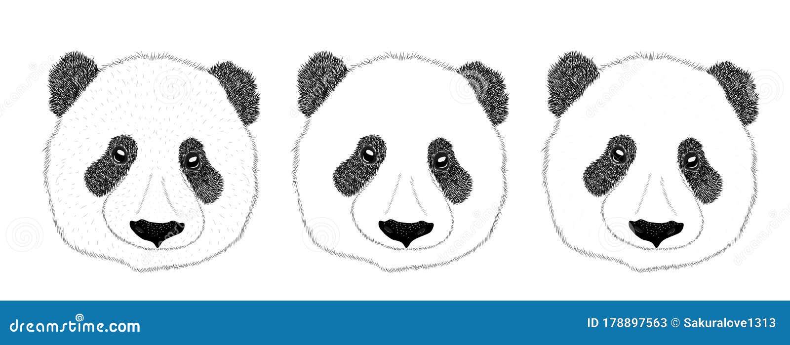 Como desenhar um urso Panda realista 