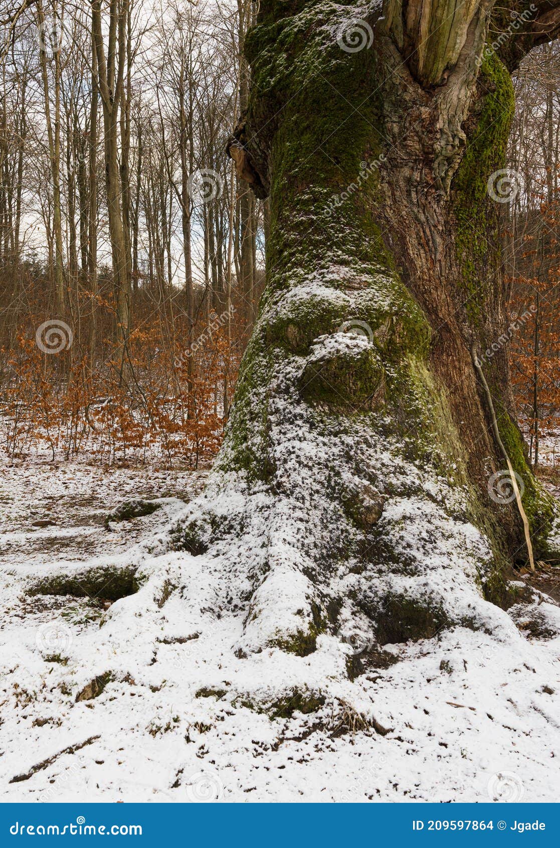 Um close-up de uma estátua de um troll com um olhar assustador