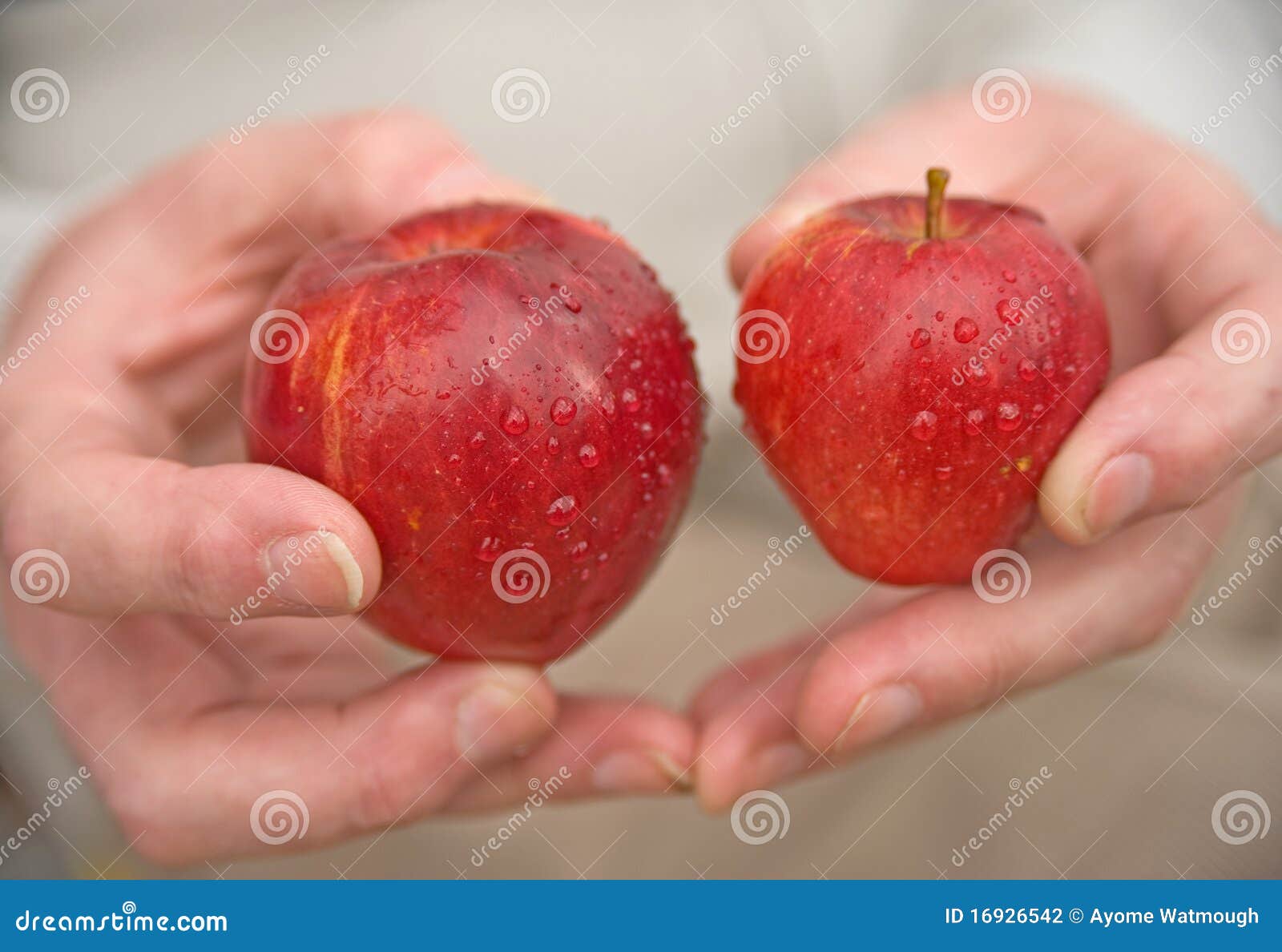 rosy red apples: size matters.