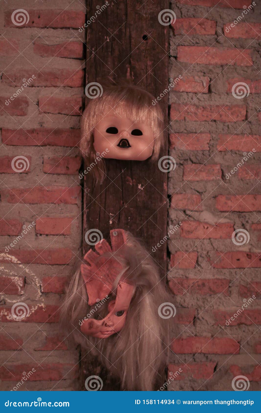Rota Cara De Muñeca Y Cabeza Colgando En La Pared De Ladrillo De Decoración Para La Fiesta De Halloween Foto de archivo - Imagen de fiesta, muñeca: 158114934