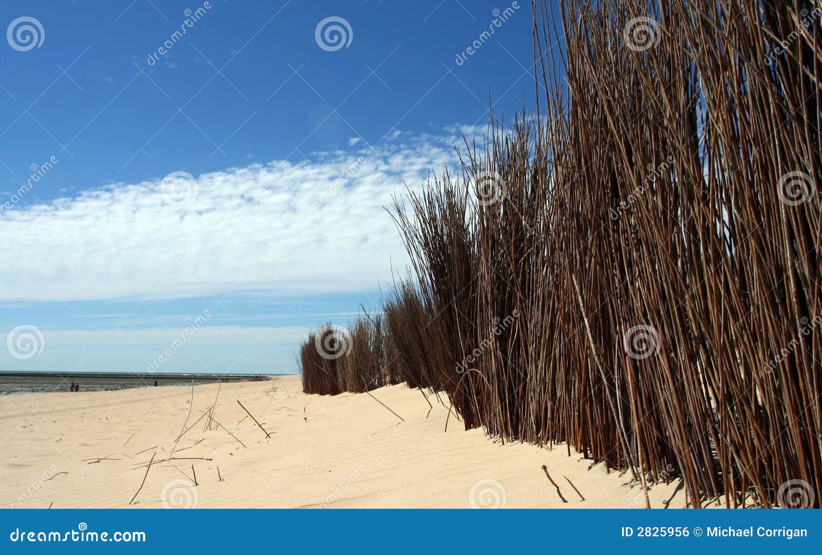 rota - costa de la luz unspoil