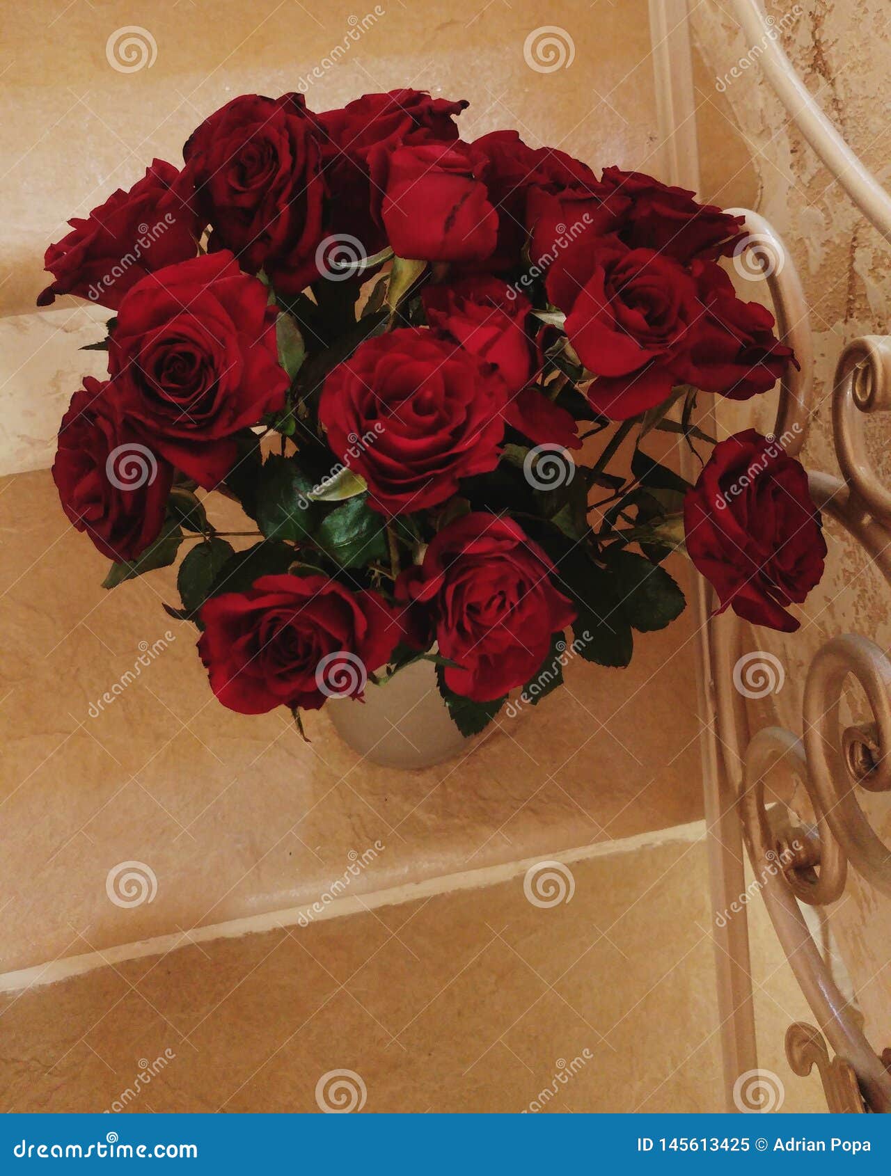 Rote Rosen auf Treppe stockbild. Bild von rosen, jahrestag 145613425