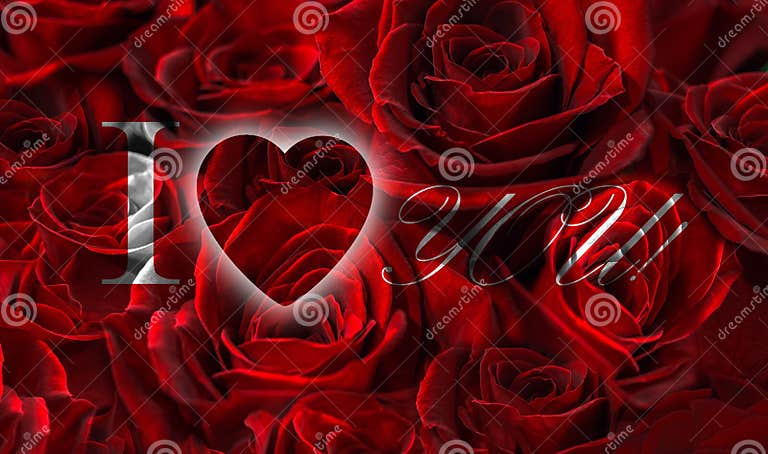 Rote Rosen Mit Innerem Ich Liebe Dich Stockfoto Bild von schönheit