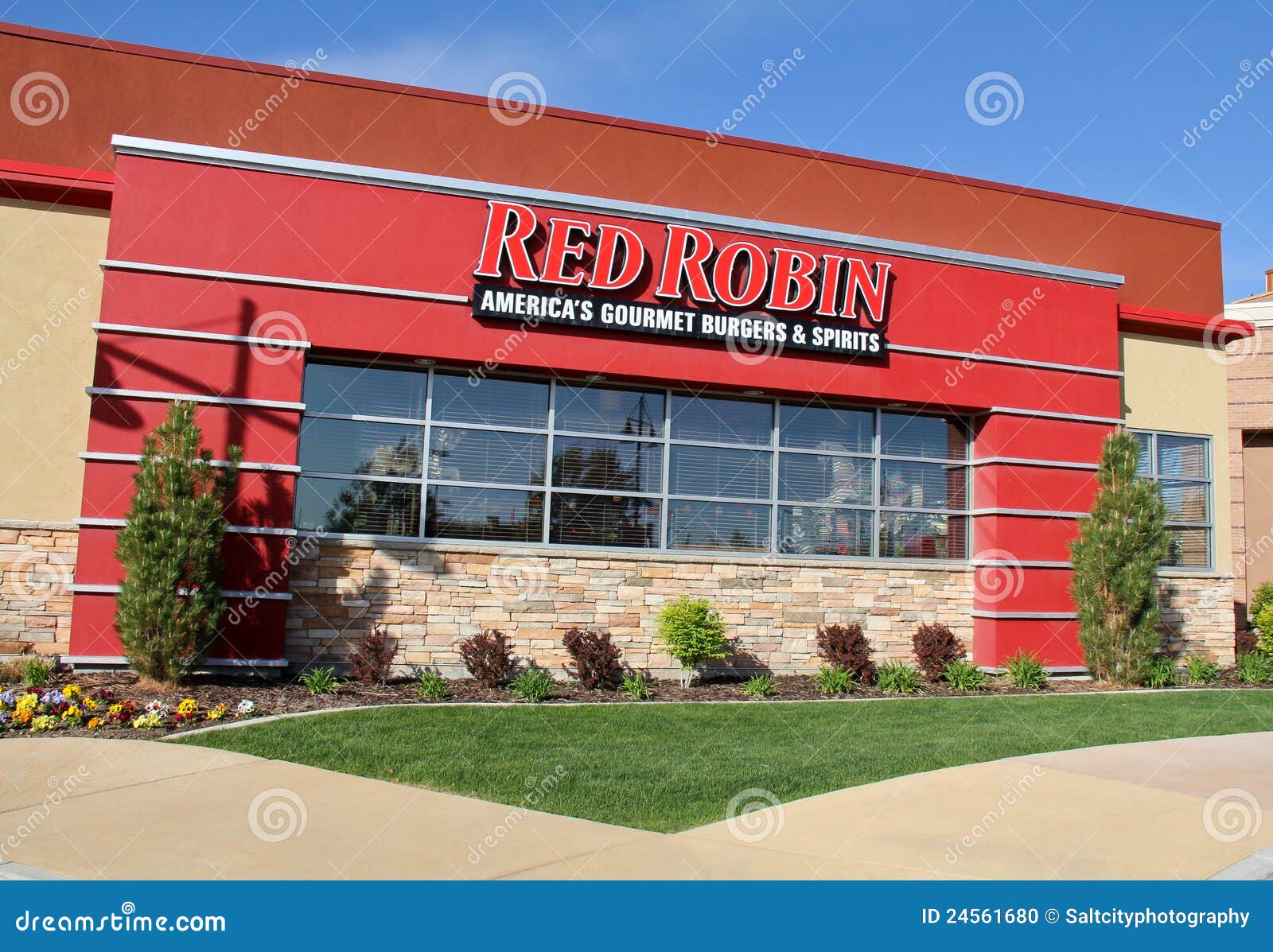 Roter Robin in Utah redaktionelles bild. Bild von salz 24561680