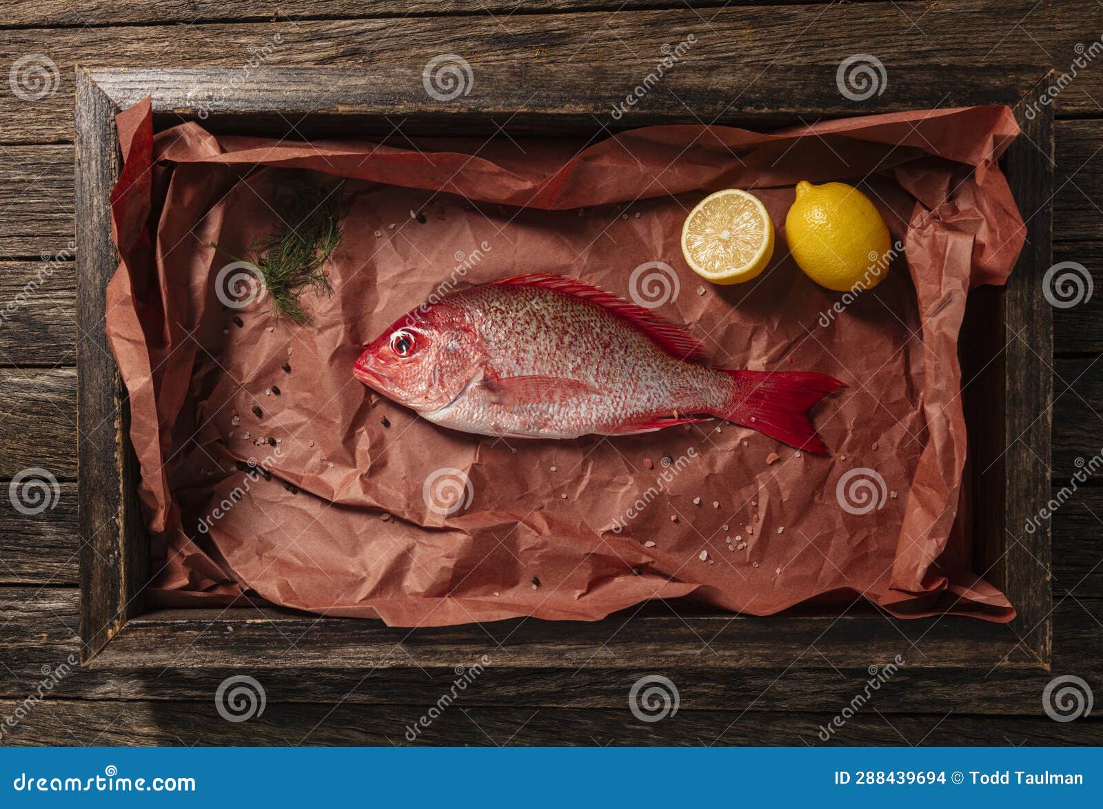 Roter Schnapper stockfoto. Bild von gewürze, bereit - 288439694