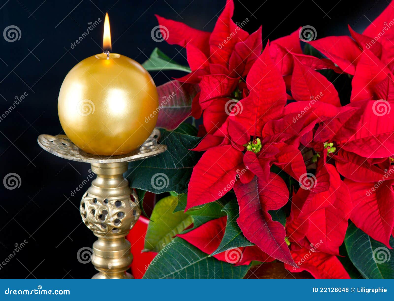 Roter Weihnachtsstern Mit Goldener Kerze Stockfoto Bild