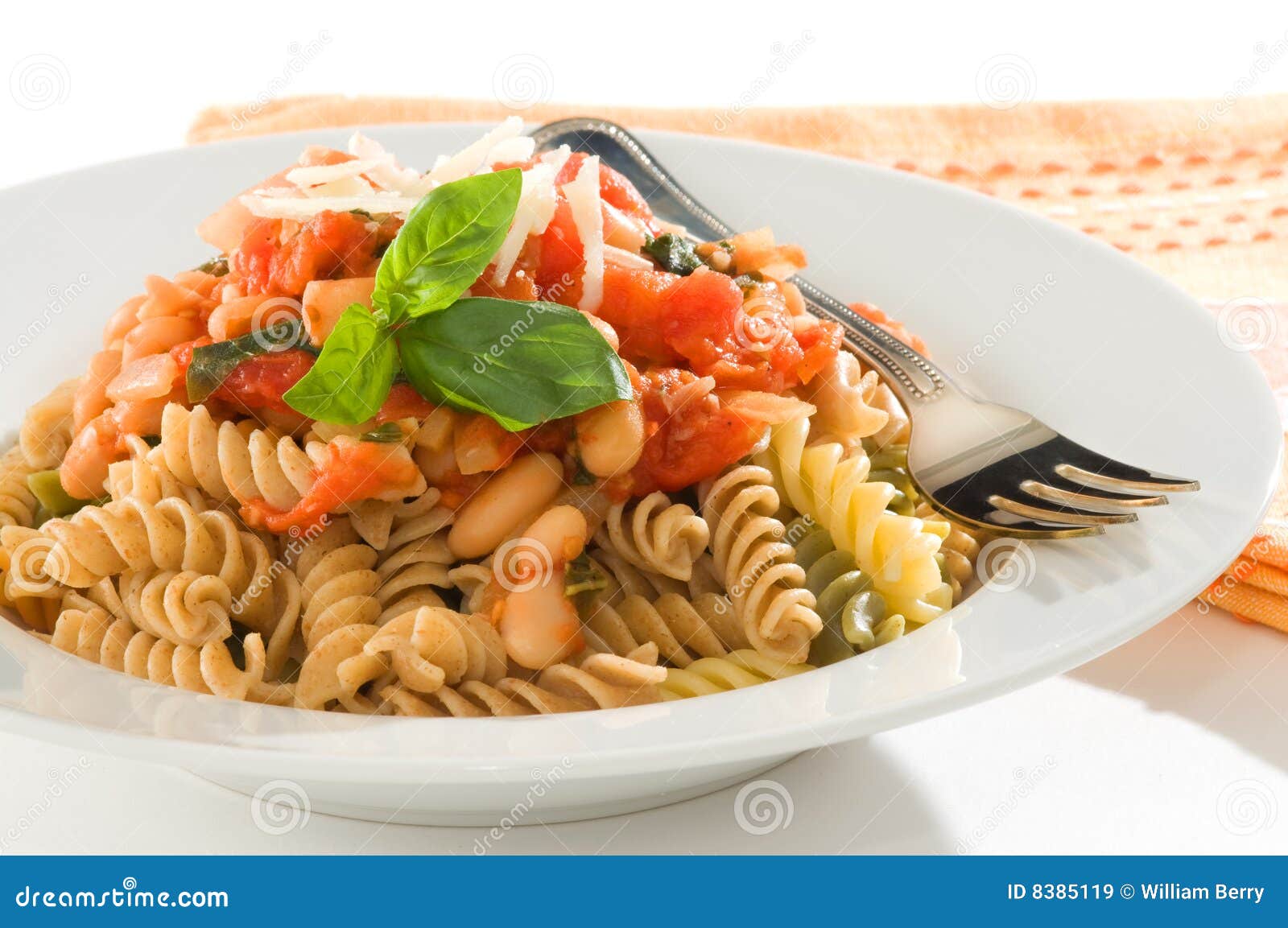 rotini pasta rotini pasta